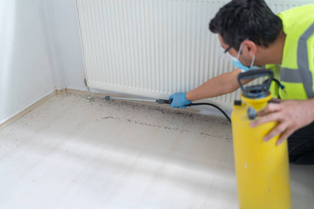 Reliable Kenvil, NJ Pest Control Solutions